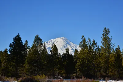 DSC_5907 (Large).JPG